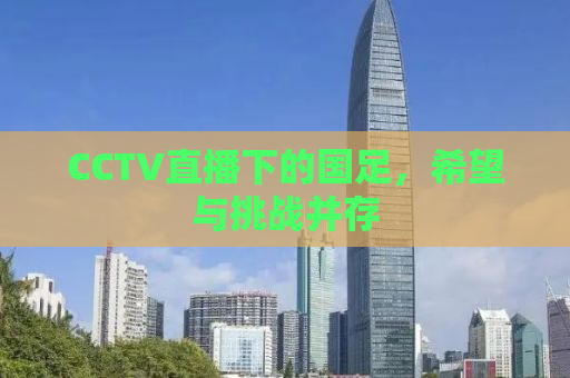 CCTV直播下的国足，希望与挑战并存