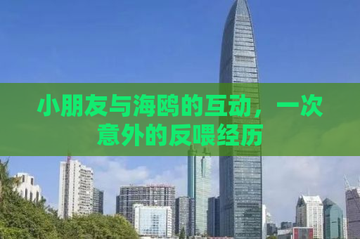 小朋友与海鸥的互动，一次意外的反喂经历