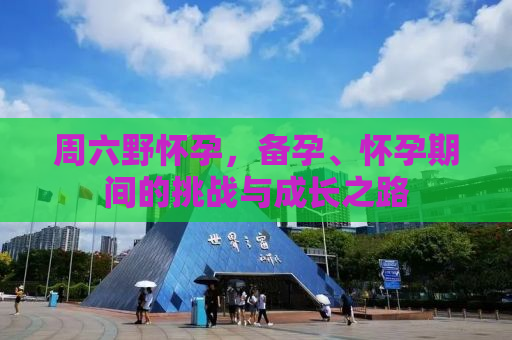 周六野怀孕，备孕、怀孕期间的挑战与成长之路